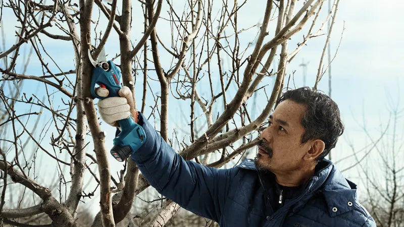 Cordless garden shears - Pro Pruner Professional