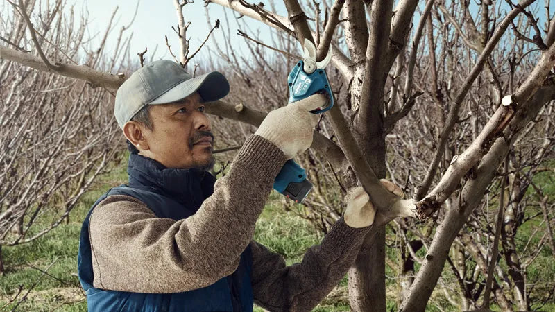 Cordless garden shears - Pro Pruner Professional