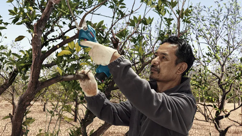 Cordless garden shears - Pro Pruner Professional