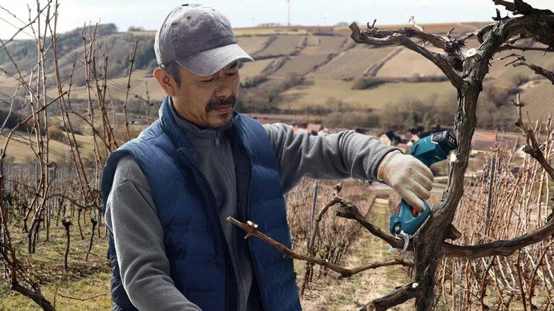 Cordless garden shears - Pro Pruner Professional